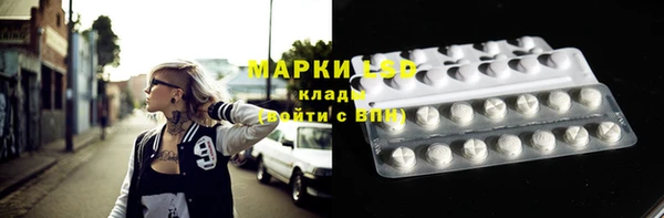 ПСИЛОЦИБИНОВЫЕ ГРИБЫ Алексеевка